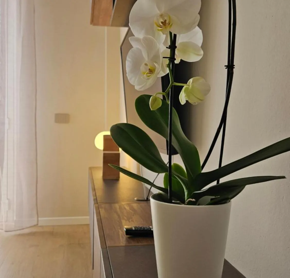 Jack Apartment Milan